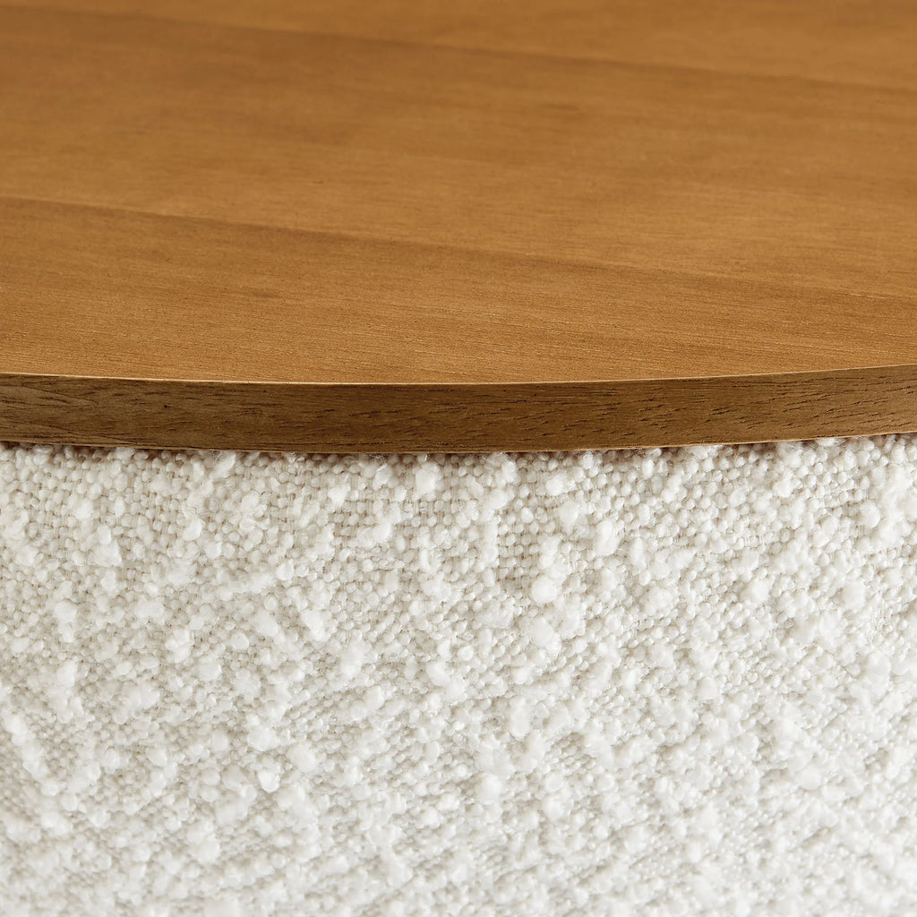 Upholstered Storage Coffee Table
